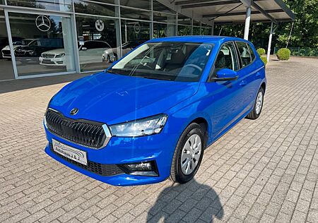 Skoda Fabia Selection PDC/LED/AppConnect/Lane-Assist