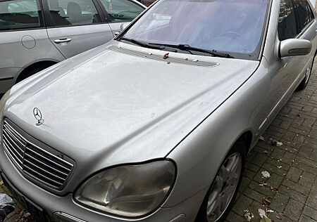 Mercedes-Benz S 500 gebraucht kaufen Mercedes-Benz S 500 -