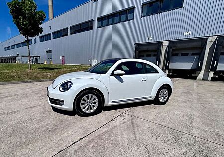 VW Beetle Volkswagen 1.4 TSI Sport Sport