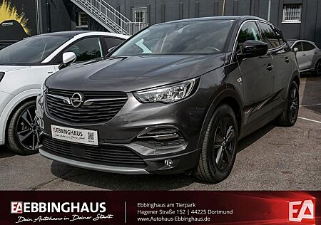 Opel Grandland X Grandland 1.2 2020 Kamera Design-Paket LED