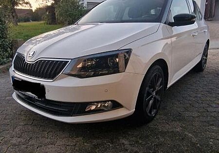 Skoda Fabia 1.2l TSI 66kW TÜV Neu bis 05/27!