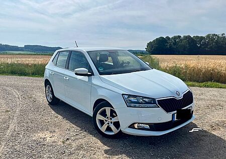 Skoda Fabia , Klima, Winterreifen, Scheckheft