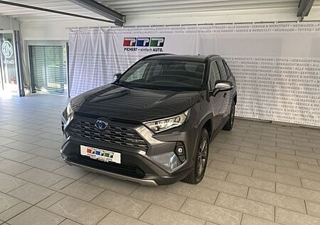 Toyota RAV 4 2.5 4x4 Hybrid Team Deutschland