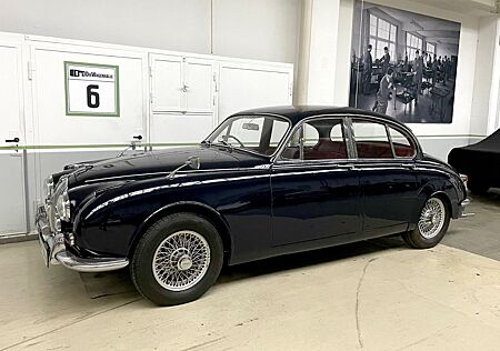Jaguar Andere