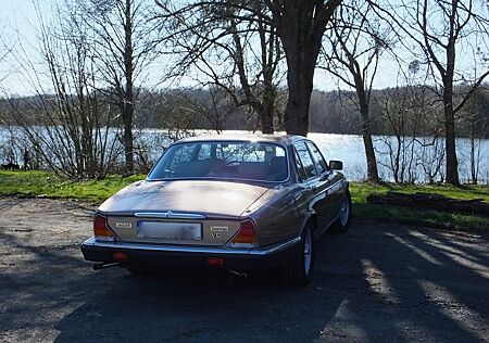 Jaguar XJ V12 S3, 3. Hand, unrestauriert, H-Kennzeichen