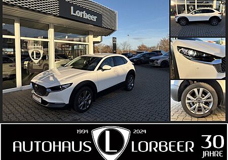 Mazda CX-30 M-HYBRID 150PS 6AG SELECTION DES NAVI +WR