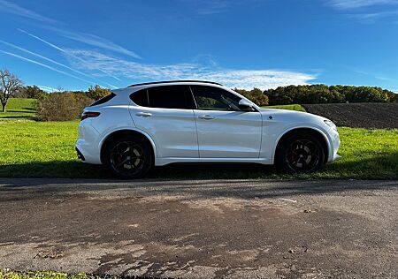 Alfa Romeo Stelvio gebraucht kaufen Alfa Romeo Stelvio 2.9 Bi-T. V6 375kW Quadrifoglio AT8-...