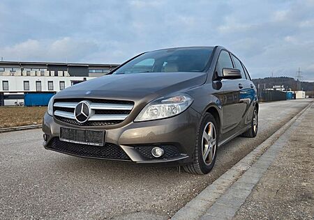 Mercedes-Benz B 180 Leder PDC 8fach bereift