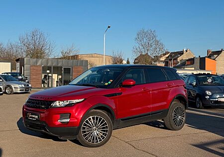 Land Rover Range Rover Evoque Pure SHZ/PDC/AHK/BT