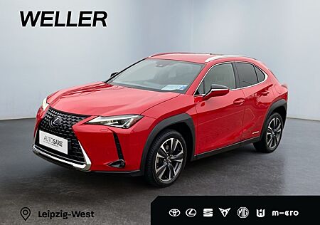 Lexus UX 250h Amazing Edition *LED*CarPlay*Kamera*SHZ*