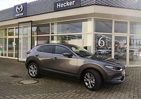 Mazda CX-30 e-SKYACTIV-G X 186ps 6AT FWD Takumi BLOP