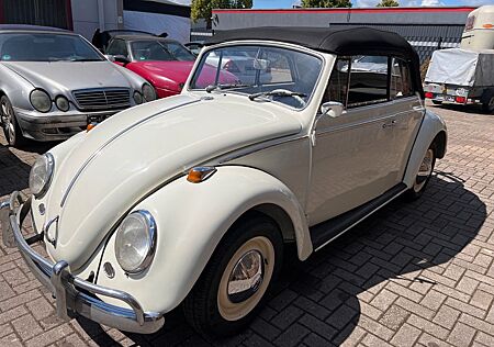 VW Käfer Volkswagen Cabrio Oldtimer Restauriert
