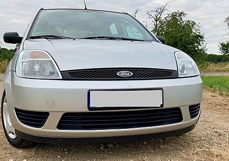 Ford Fiesta 1,3 51 kW Viva