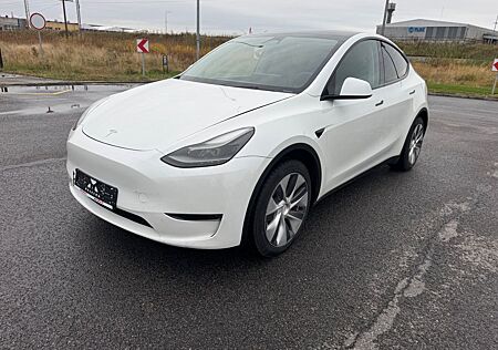 Tesla Model Y Performance Dual Motor AWD Performance