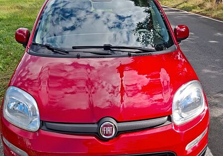 Fiat Panda Rentnerfahrzeug, nur 48600km ORIGINAL