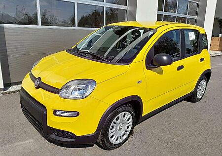 Fiat Panda 1.0 GSE Hybrid City-Paket Start-Stopp Temp