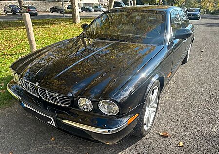 Jaguar XJ8 4.2 Liter Werkspanzerung/Armoured B6