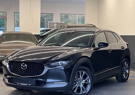 Mazda CX-30 gebraucht kaufen Mazda CX-30 Selection SKYACTIV-G 180.Auto.Navi.AHK.LED