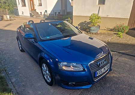 Audi A3 1.6 Ambition Cabriolet Ambition