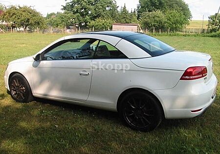VW Eos Volkswagen