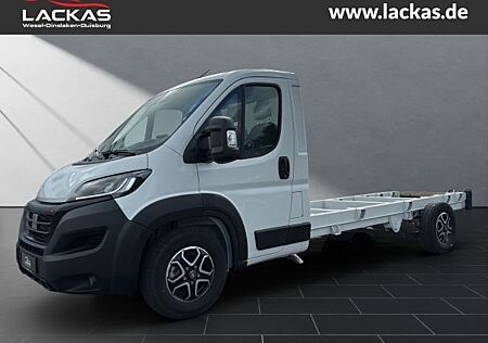 Fiat Ducato gebraucht kaufen Fiat Ducato Maxi 35L5H1 FAHRGESTELL 180PS AUTOMATIK N