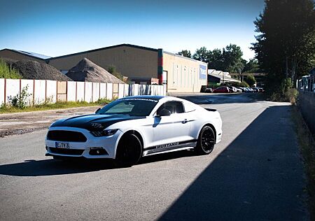 Ford Mustang 2.3 EcoBoost EU-MODELL