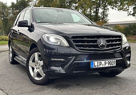 Mercedes-Benz ML 350 gebraucht kaufen Mercedes-Benz ML 350 BlueTEC 4MATIC -