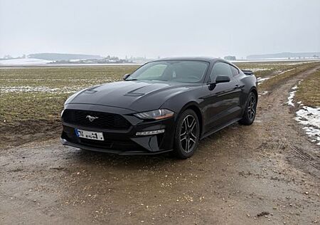 Ford Mustang 2.3 EcoBoost Facelift HU Neu!
