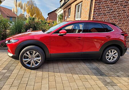 Mazda CX-30 e-SKYACTIV-G M-Hybrid 140 Takumi
