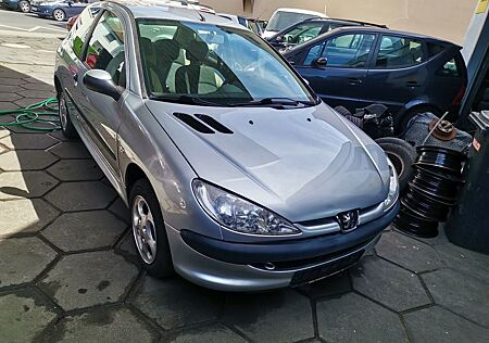 Peugeot 206 Petit Filou