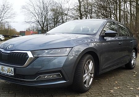 Skoda Octavia First Edition| ACC | Canton | Kamera