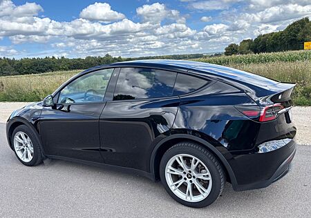 Tesla Model Y Performance Dual Motor AWD Performance
