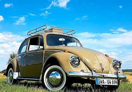 VW Käfer Volkswagen