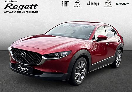 Mazda CX-30 Selection 2WD HUD Navi LED ACC El. Heckkla
