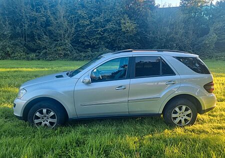 Mercedes-Benz ML 350 W 164 Prinzgasablage