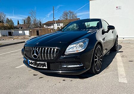 Mercedes-Benz SLK 250 AMG-Optik | Vollleder | Panorama-Dach