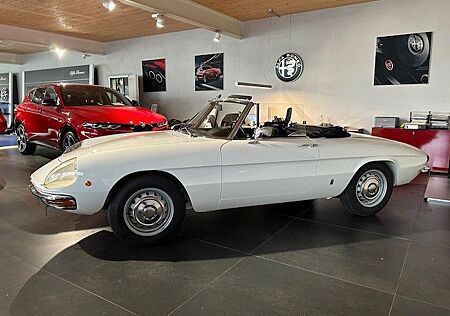 Alfa Romeo Spider 1300 Junior