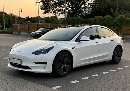 Tesla Model 3 Model 3Standard Range Plus|SR+|Matrix LED