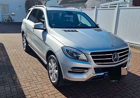 Mercedes-Benz ML 250 BlueTEC 4MATIC - AHK - Schiebedach