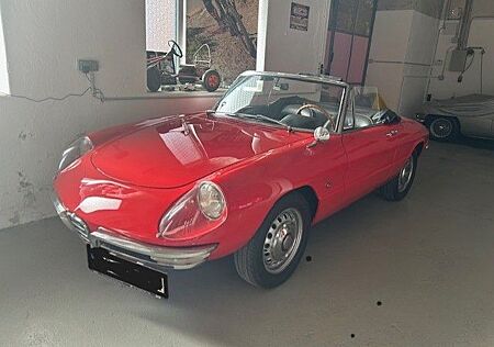 Alfa Romeo Spider