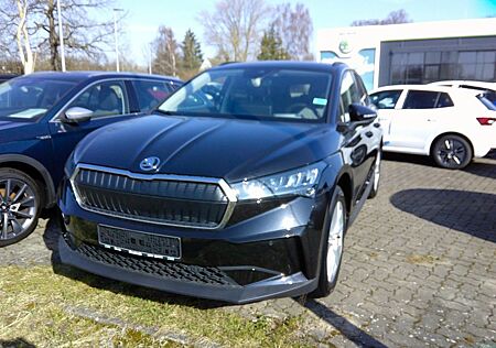 Skoda Enyaq 60 Loft