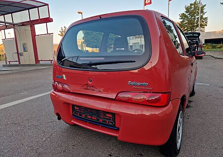 Fiat Seicento Michael Schumacher,Gepflegt,Klima