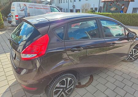 Ford Fiesta gebraucht kaufen Ford Fiesta 1,25 60kW Titanium Titanium