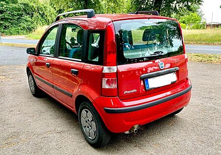 Fiat Panda gebraucht kaufen Fiat Panda 1.2 TÜV 10/2027 Kupplung NEU