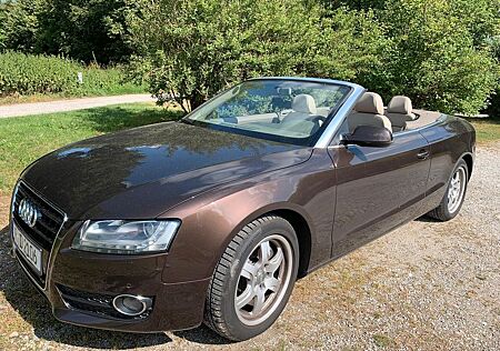 Audi A5 3.0 TDI quattro Cabriolet (B8)
