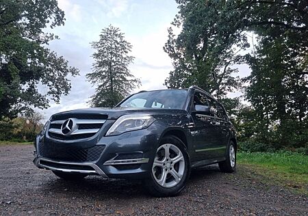 Mercedes-Benz GLK 250 BlueTEC 4MATIC -