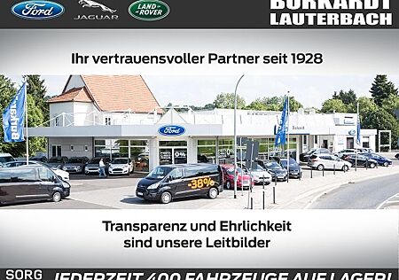 Ford Puma ST-Line X*LED*Winter-P.*KeyFREE*
