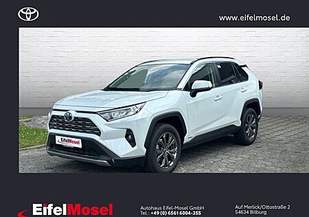 Toyota RAV 4 2.5 Hybrid 4x4 **Team D** Navi. 18-LM /SHZ