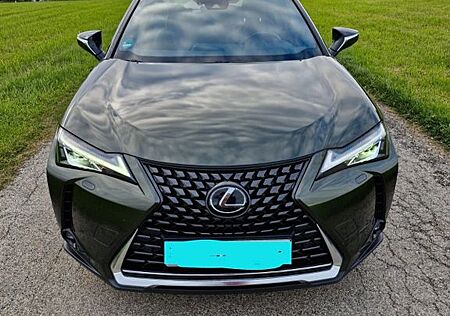 Lexus UX 200 Launch Edition Launch Edition