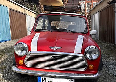Mini 1000